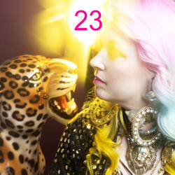 23
