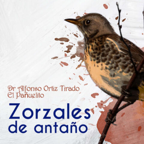 Zorzales de Antaño - Dr. Alfonso Ortiz Tirado - El Pañuelito