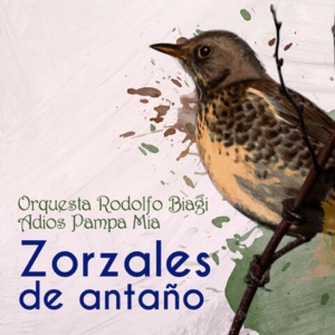 Zorzales de Antaño - Orquesta Rodolfo Biagi - Adios Pampa Mia