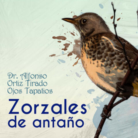 Zorzales de Antaño - Dr. Alfonso Ortiz Tirado - Ojos Tapatios