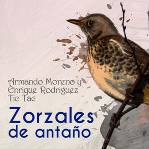Zorzales de Antaño - Armando Moreno y Enrique Rodriguez - Tic Tac