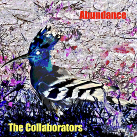 Abundance