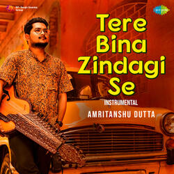 Tere Bina Zindagi Se