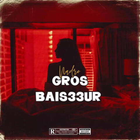GROS BAIS33UR