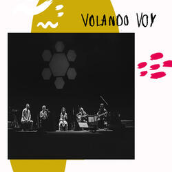 Volando Voy