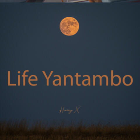 Life Yantambo