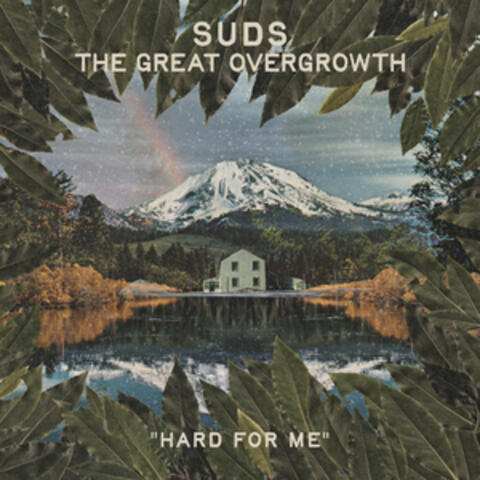 SUDS.