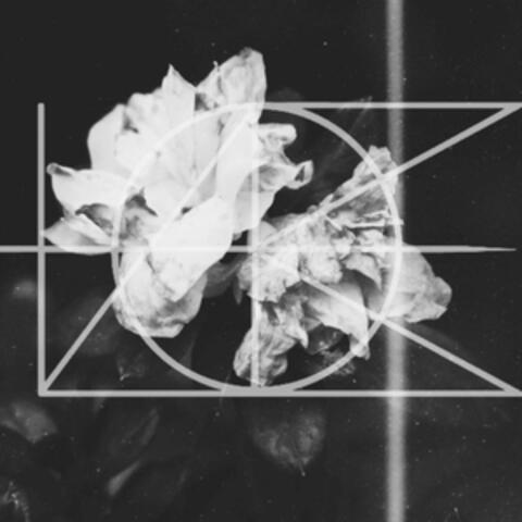 4 AM