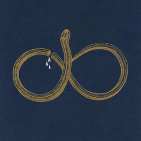Infinity Worm