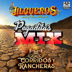 Pegaditas Pa' mis Guachas: El Mero, Mero / Amor Norteño / Ojitos Jacarandosos