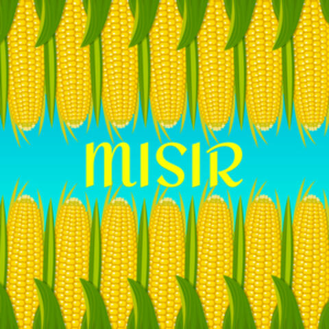 Mısır