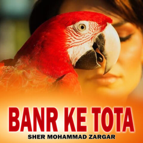 Banr Ke Tota