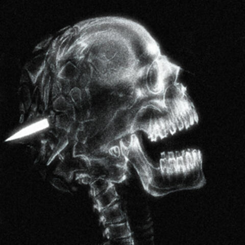 Headshot Anatomy