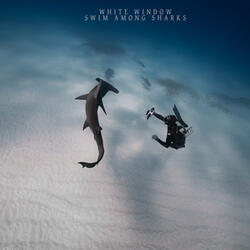 swim among sharks