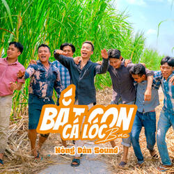 Bắt Con Cá Lóc