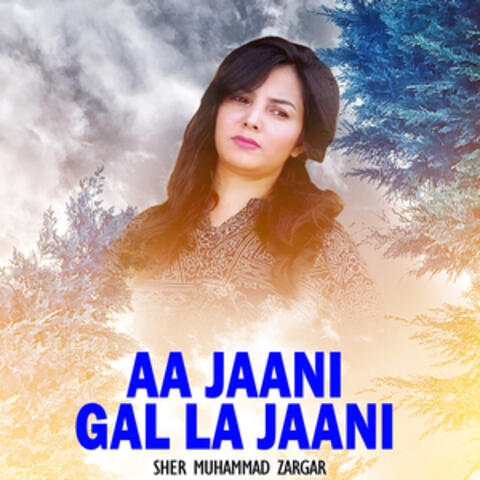 Aa Jaani Gal La Jaani