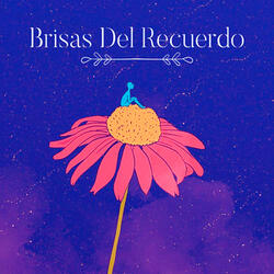 Rosita Alvires