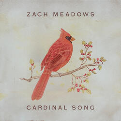 Cardinal Song