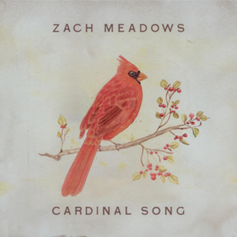 Cardinal Song