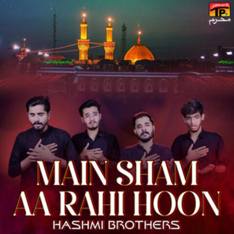 Main Sham Aa Rahi Hoon - Single