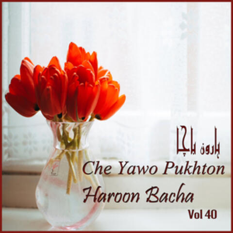 Che Yawo Pukhton, Vol. 40