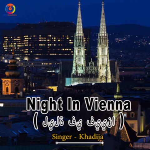 Night In Vienna