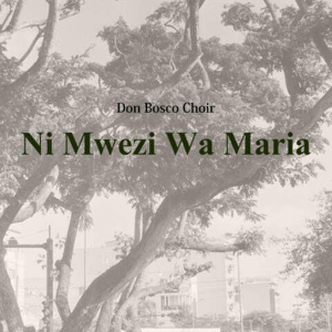 Ni Mwezi Wa Maria