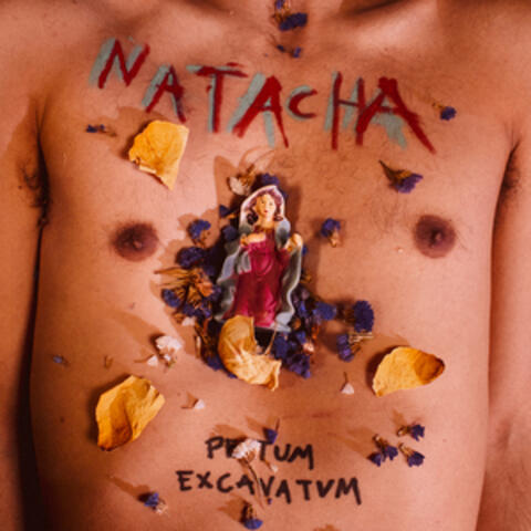 Pectum Excavatvm