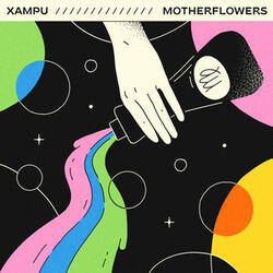 Xampú
