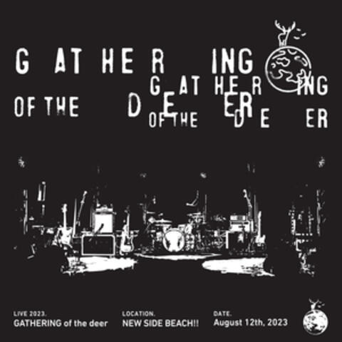 alone(GATHERING of the Deer 2023)  [Live at NEW SIDE BEACH!! ]