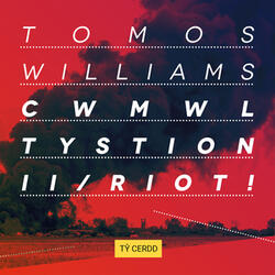 Cadw tŷ mewn cwmwl tystion / Keeping house in a cloud of witnesses