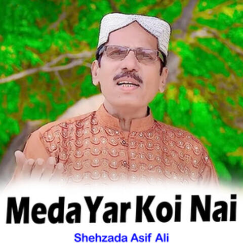 Meda Yar Koi Nai