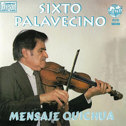 Violin de Barranca