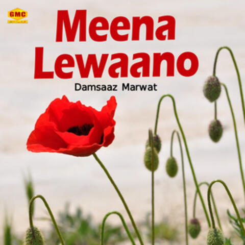 Meena Lewaano