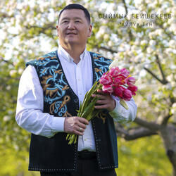 Сен мени сагынбайсыңбы