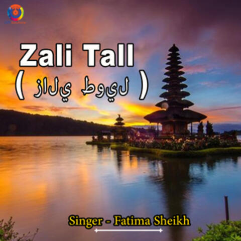 Zali Tall