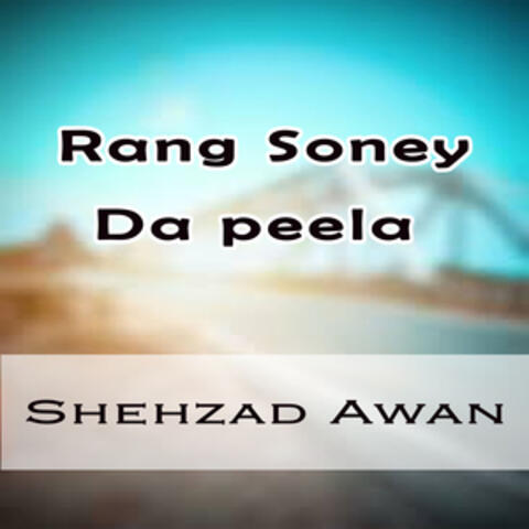 Rang Soney Da Peela