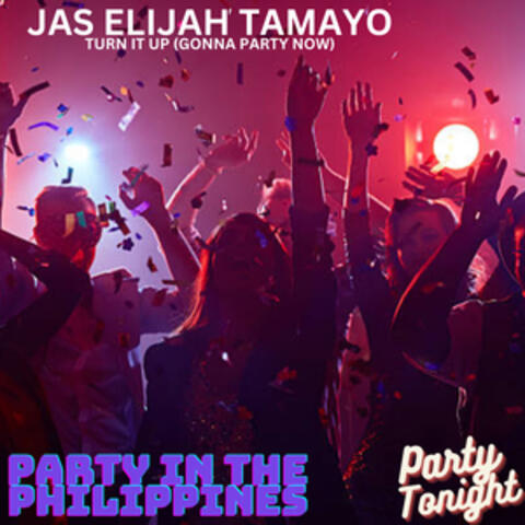 Turn It Up (Gonna Party Now)