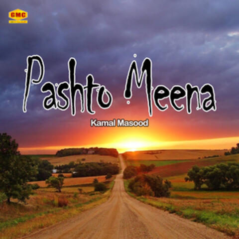 Pashto Meena
