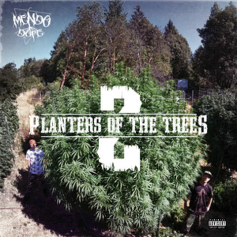 Planters Of The Trees 2