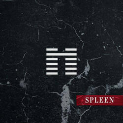 SPLEEN