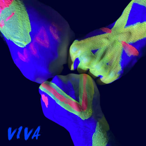 Viva