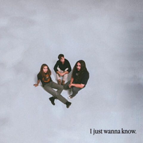I Just Wanna Know