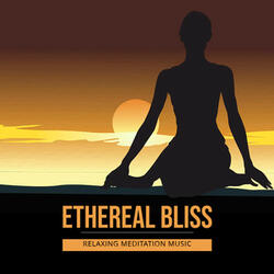 Astral Chakra Harmony