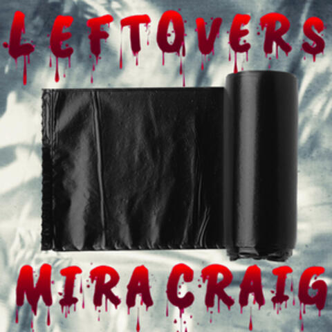 LEFTOVERS