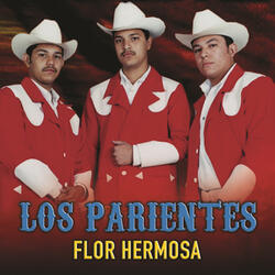 Rumbos Diferentes