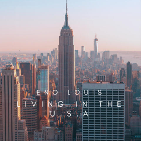 Living In The U.S.A