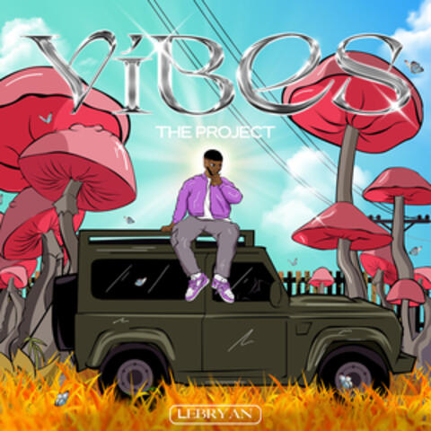 Vibes: The Project