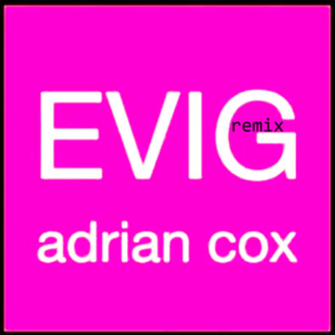 Evig