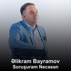 Soruşuram Necəsən